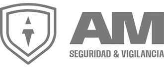 AM Seguridad